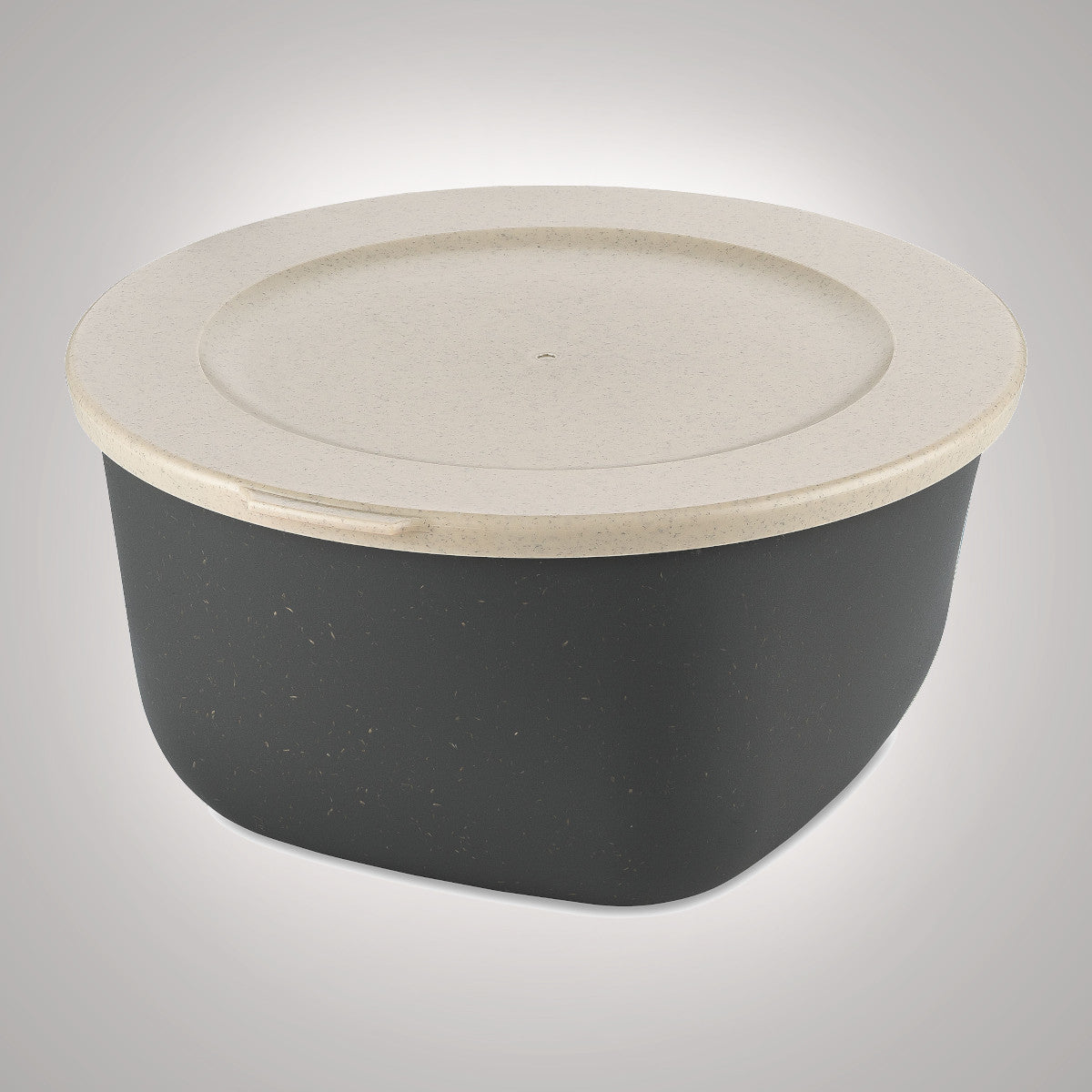 Kapaklı kutu 2 L, CONNECT BOX, Koziol