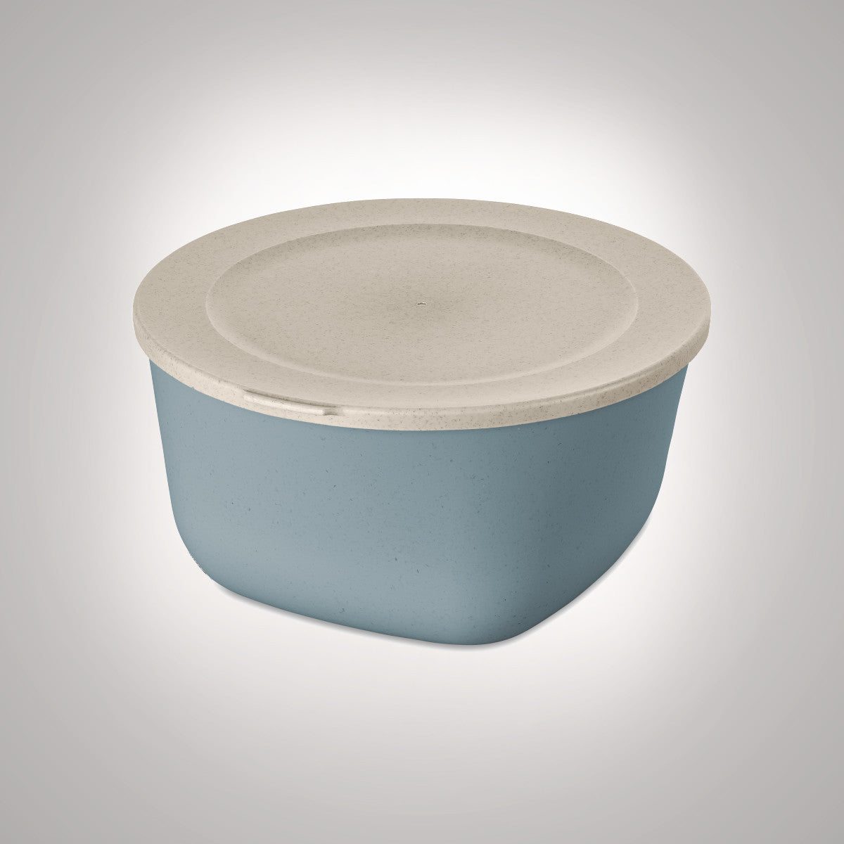 Kapaklı kutu 4 L, CONNECT BOX, Koziol