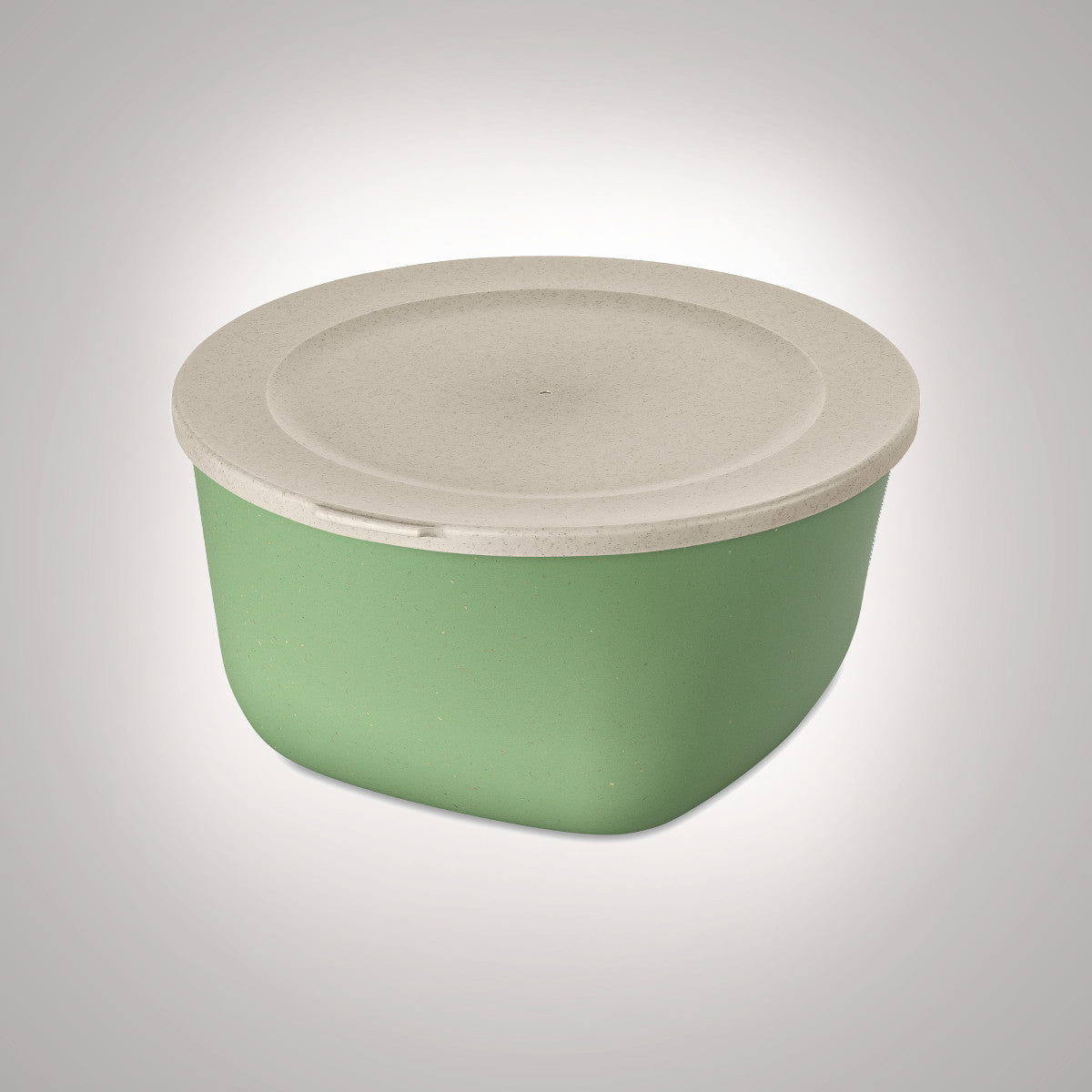 Kapaklı kutu 4 L, CONNECT BOX, Koziol